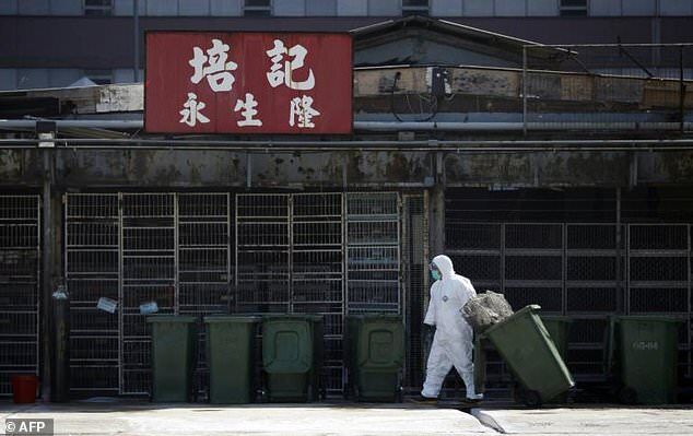香港大学抗艾滋病新药最新消息,香港大学研究新冠病毒感染人类