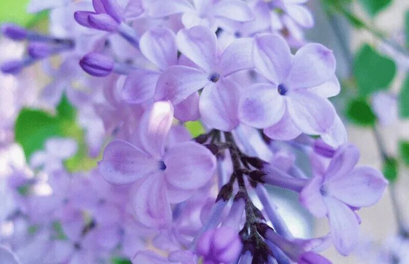 麻范儿好物｜祖玛珑、圣罗兰……一口气买齐6支“大牌”香水，只花了我四十几块！