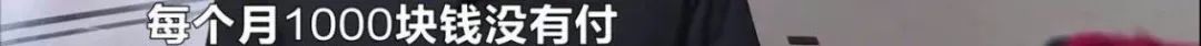专业坑娃的爸爸,专业坑娃爸爸的视频
