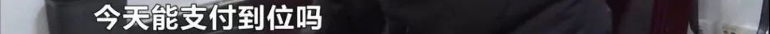 专业坑娃的爸爸,专业坑娃爸爸的视频