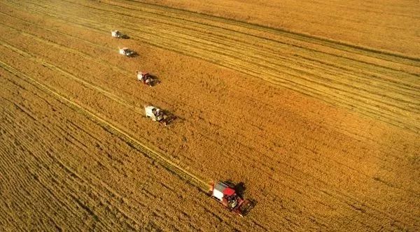 央视报道淮安涟水,淮安塑造美丽乡村新闻