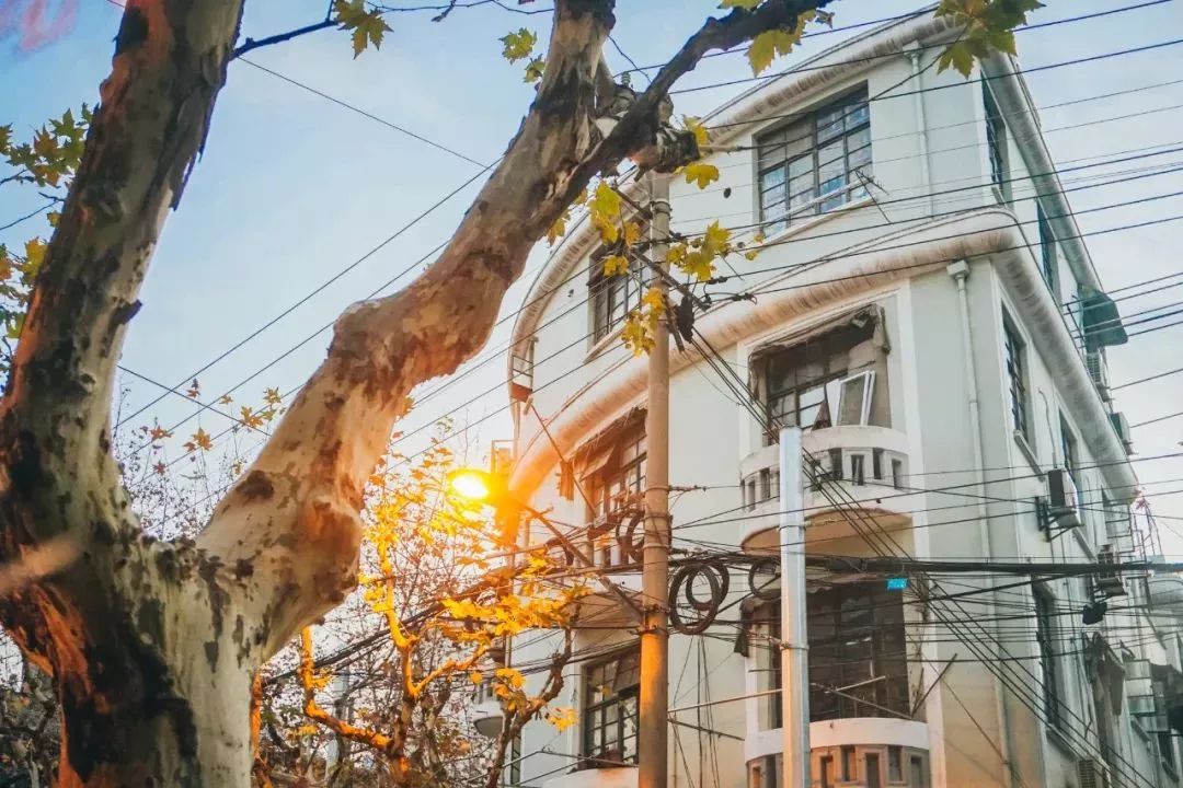 上海滩市中心，竟然藏着一条有洋房故居有老字号有咖啡店有酒吧的网红老马路