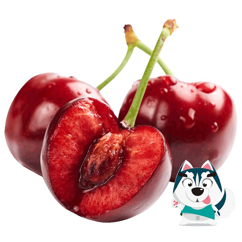 一定要让自己掌握一些硬核的东西,一定用得到的拜年技巧