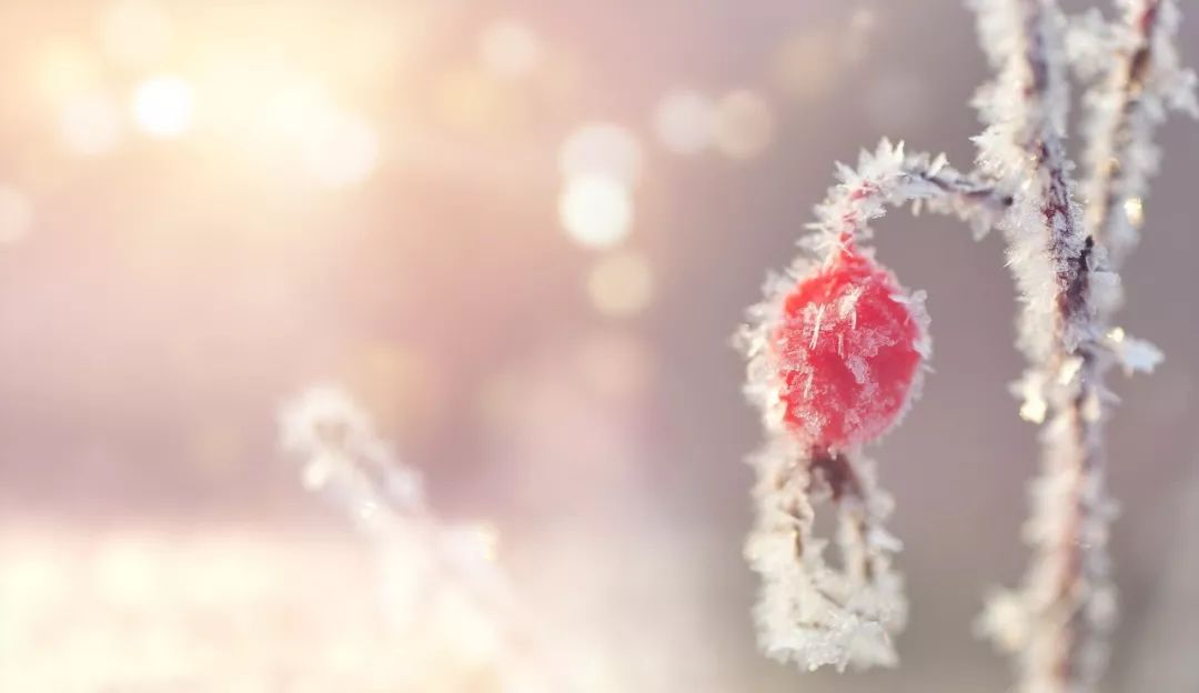 描写冬天的诗句也太绝了,写冬天最美的诗