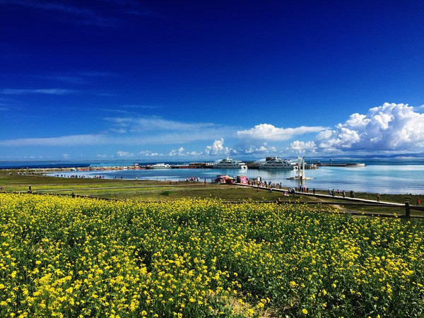 到青海湖旅游注意事项,去青海湖需要注意什么