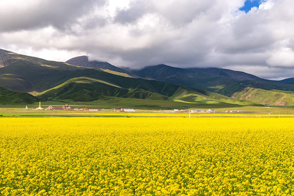 到青海湖旅游注意事项,去青海湖需要注意什么