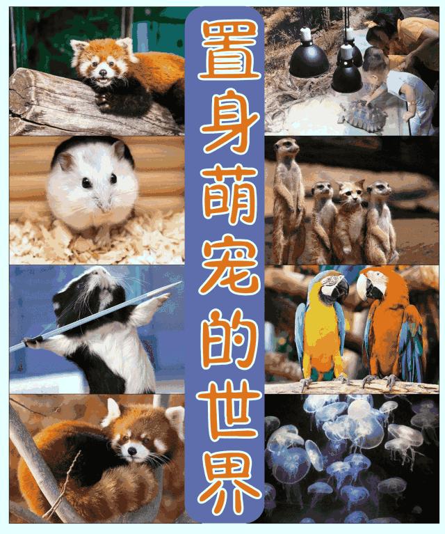 恩施室内动物园,恩施最大的动物园是哪里