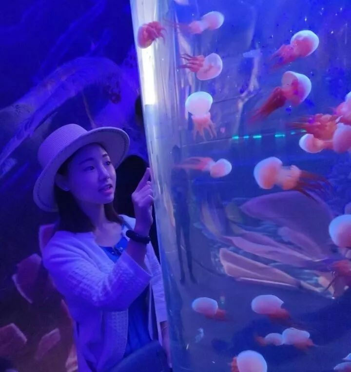 校园之星｜人生在勤，不索何获——攀大女神志（五）