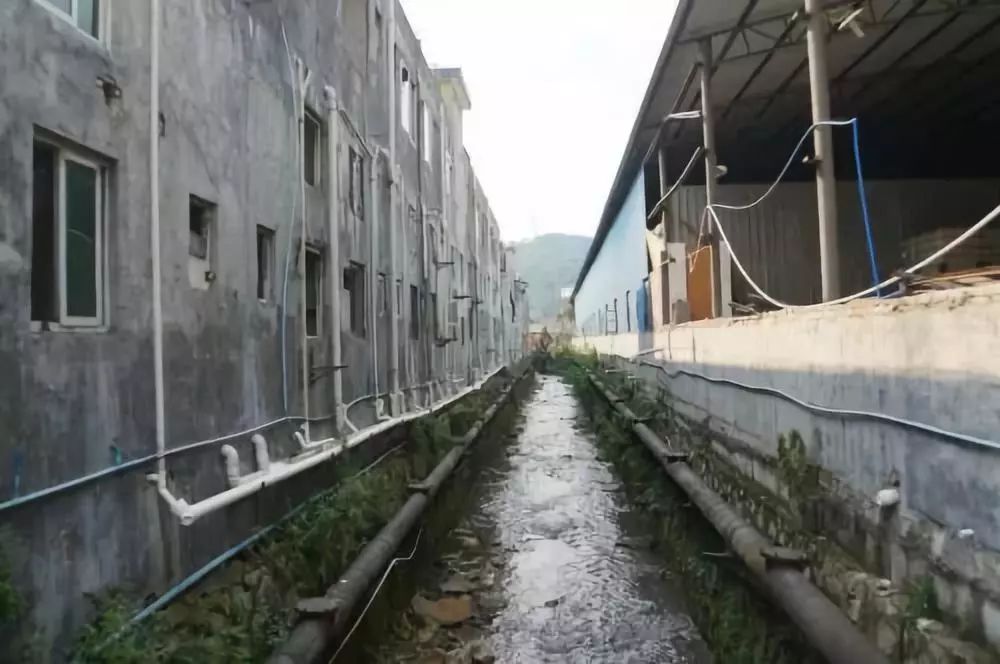 广东省饮用水源保护管理,广东支援汕头抗洪救灾