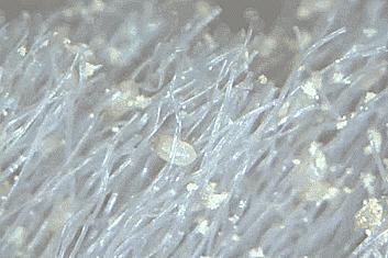 都挺好女人决定了一个家庭的格局,都挺好女人