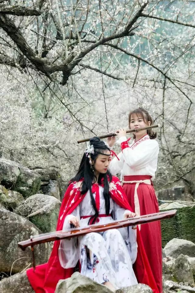 梁化梅园梅花开了吗,梁化梅园梅花观赏最佳时间