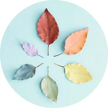 黄金珠宝免费送,黄金首饰店开业活动免费送