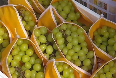 昆明水果批发市场堵车,今年昆明水果批发市场为什么冷清