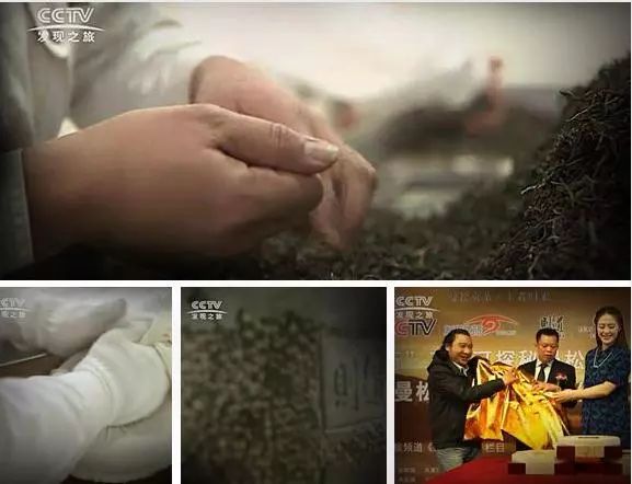 传奇兰花为什么值钱,传奇曼松普洱生茶