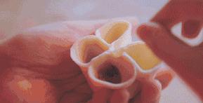 除夕夜饺子怎么包？9种花样包法又快又好看，邻居都要抢着学