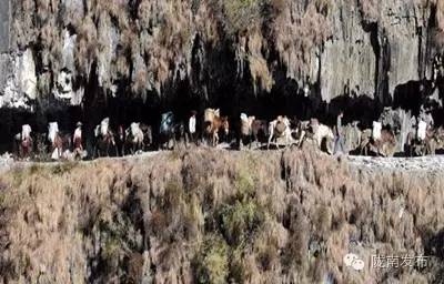 看知否感受宋朝的雅致,知否知否明兰去看林氏