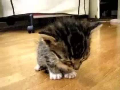 怎么调整春节后上班状态,春节后上班第一天