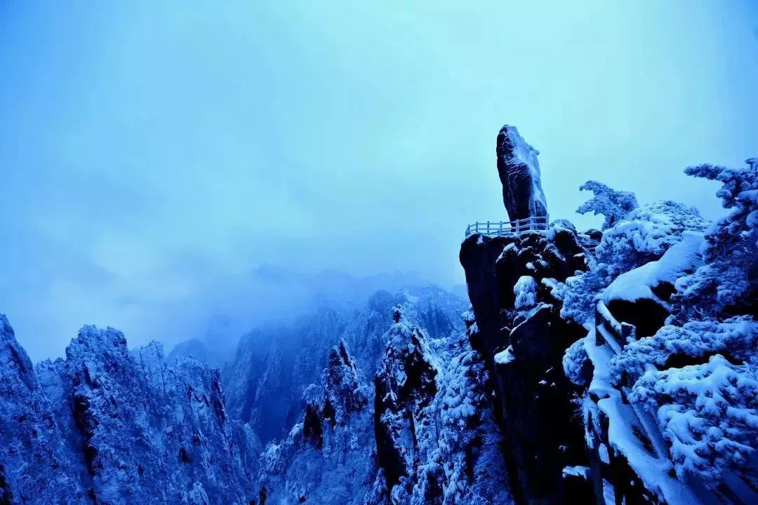 黄山正月游玩,黄山人游黄山免费票难抢吗