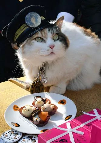 东京举行反浪漫资本主义*行游**，日本又在情人节搞事情