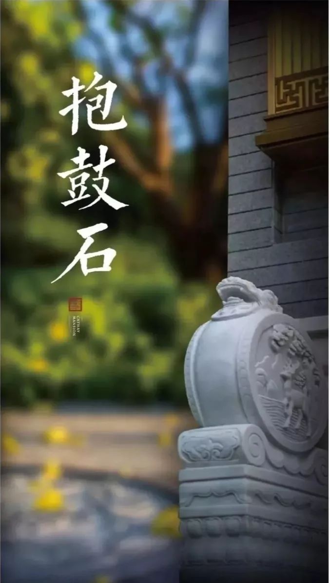 “宗师级”泰禾“产品特色”全面爆发是一种怎样的体验？