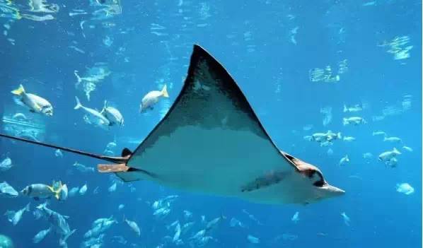 情人节必打卡酒店,情人节宝藏酒店推荐