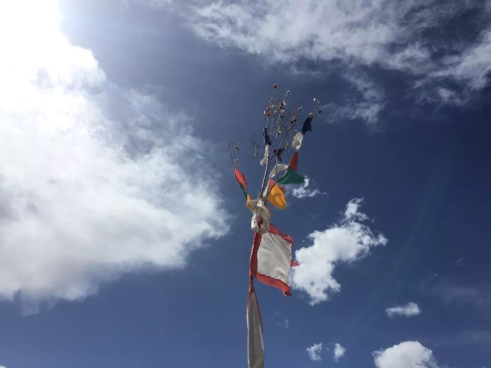 起风了小幸运哪个颜色好看,起风了分享感悟