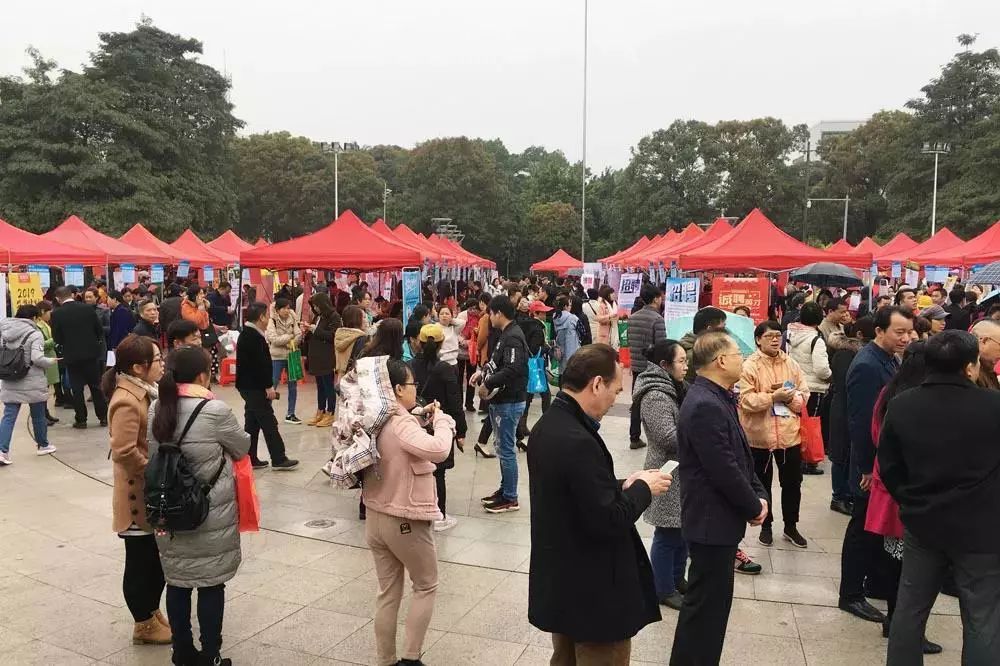 “春风”扑面八桂大地生机盎然