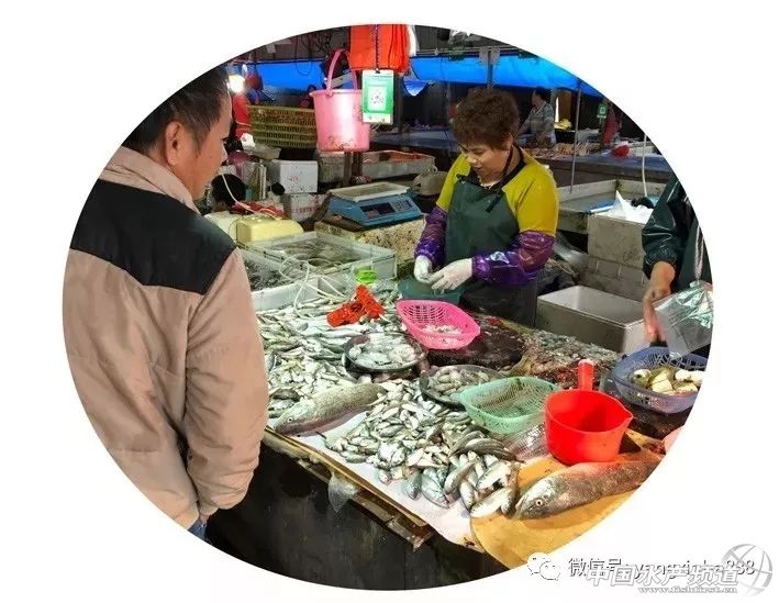 2020湛江海鲜干货价格表,湛江市海鲜贵吗