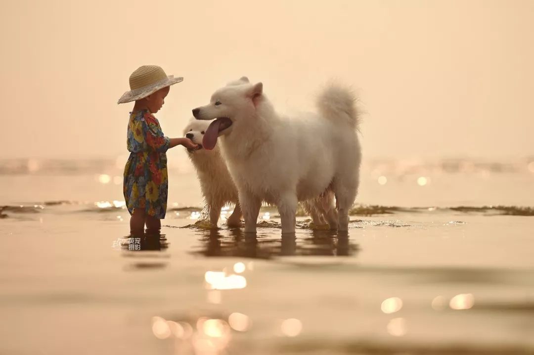 被狗舔了一下会感染狂犬病吗,伤口流血了被狗舔会得狂犬病吗