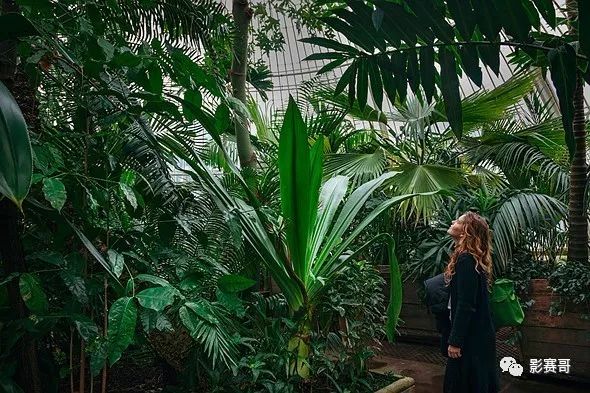 尼康肖像摄影大赛获奖作品欣赏,2021尼康获奖摄影作品欣赏