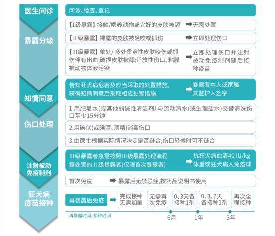 9岁被小狗咬破6天了没有打疫苗,狗被乌龟咬要打狂犬疫苗吗