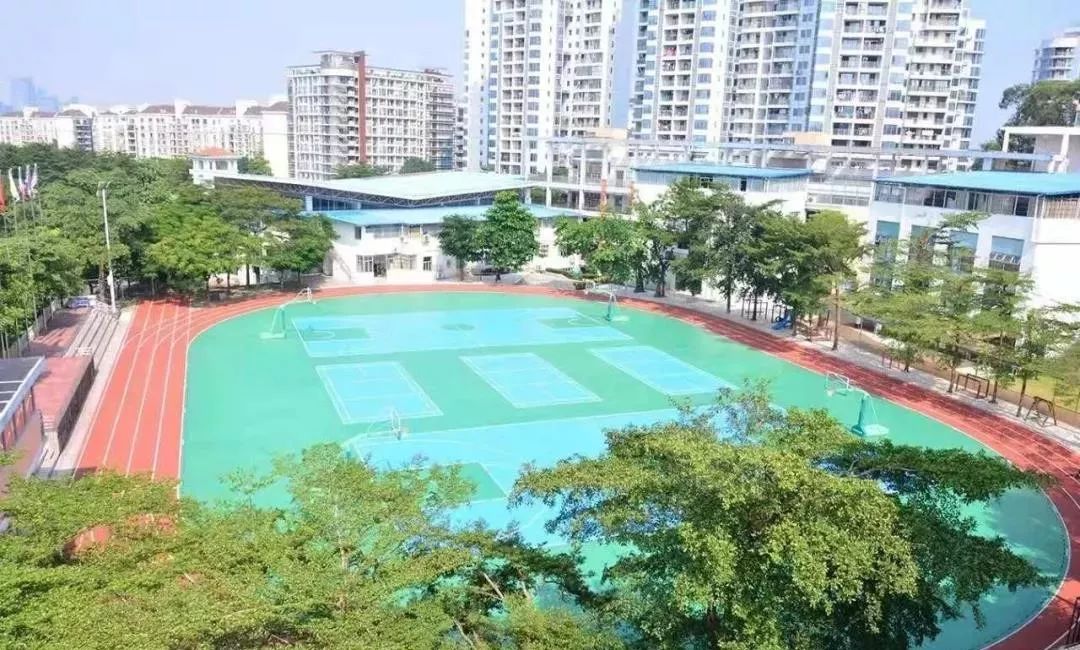 南开、华附、御花苑、翰林、光明等学校秋季招生开始报名啦