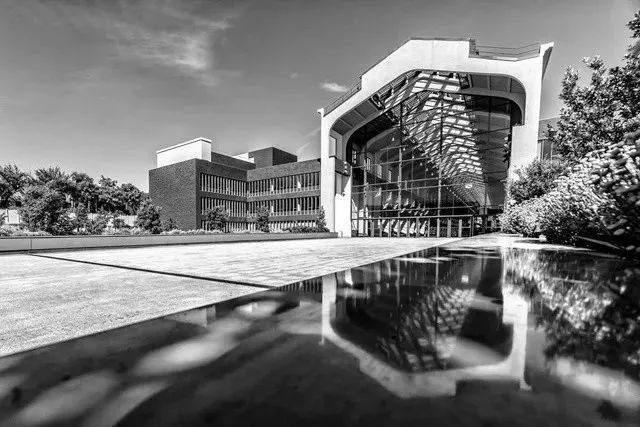 戛纳国际电影节2019,戛纳国际电影节2019年