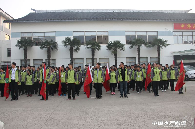 v038,v038是什么材料