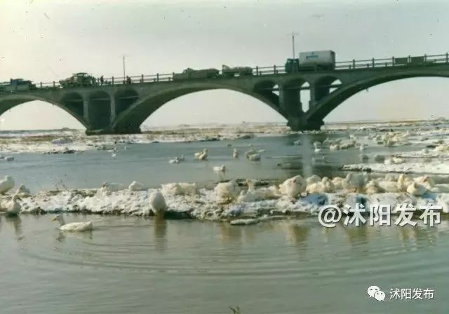 带你了解沭阳,普及沭阳知识