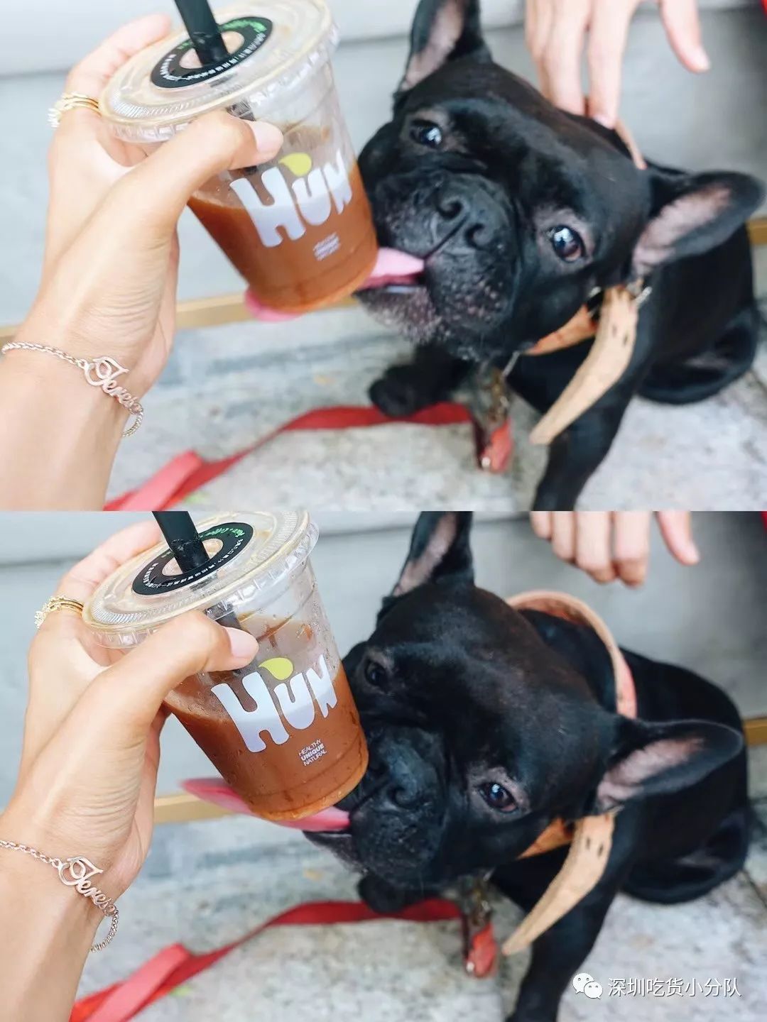 戏精欠揍系列,戏精反被骗