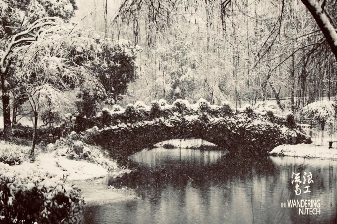 流浪地球之旅行系列,流浪地球南北极