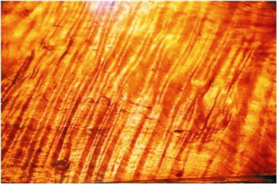 降香黄檀多少钱一克,降香黄檀有哪些品种