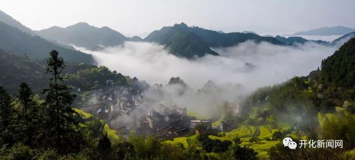 2024年油菜花观花线路,开化油菜花最佳观赏地