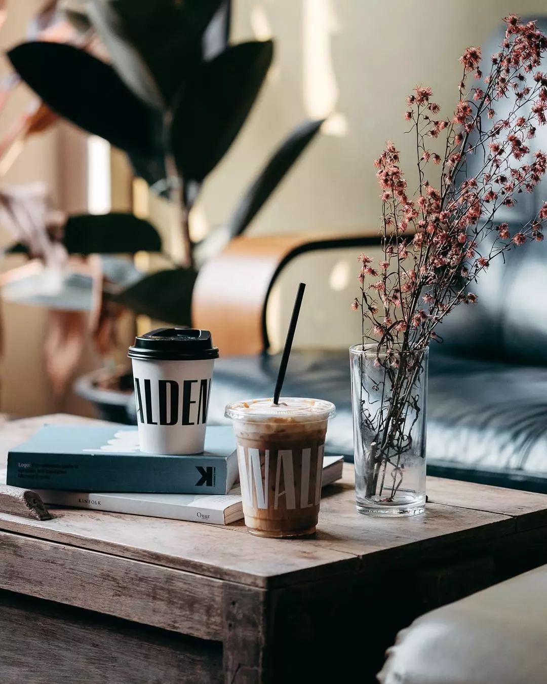 曼谷好去处：8家新开业的咖啡馆，一个比一个酷