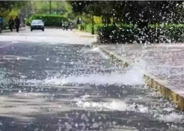 我姓杨，我向全邹城人民道歉！！但我有苦衷……