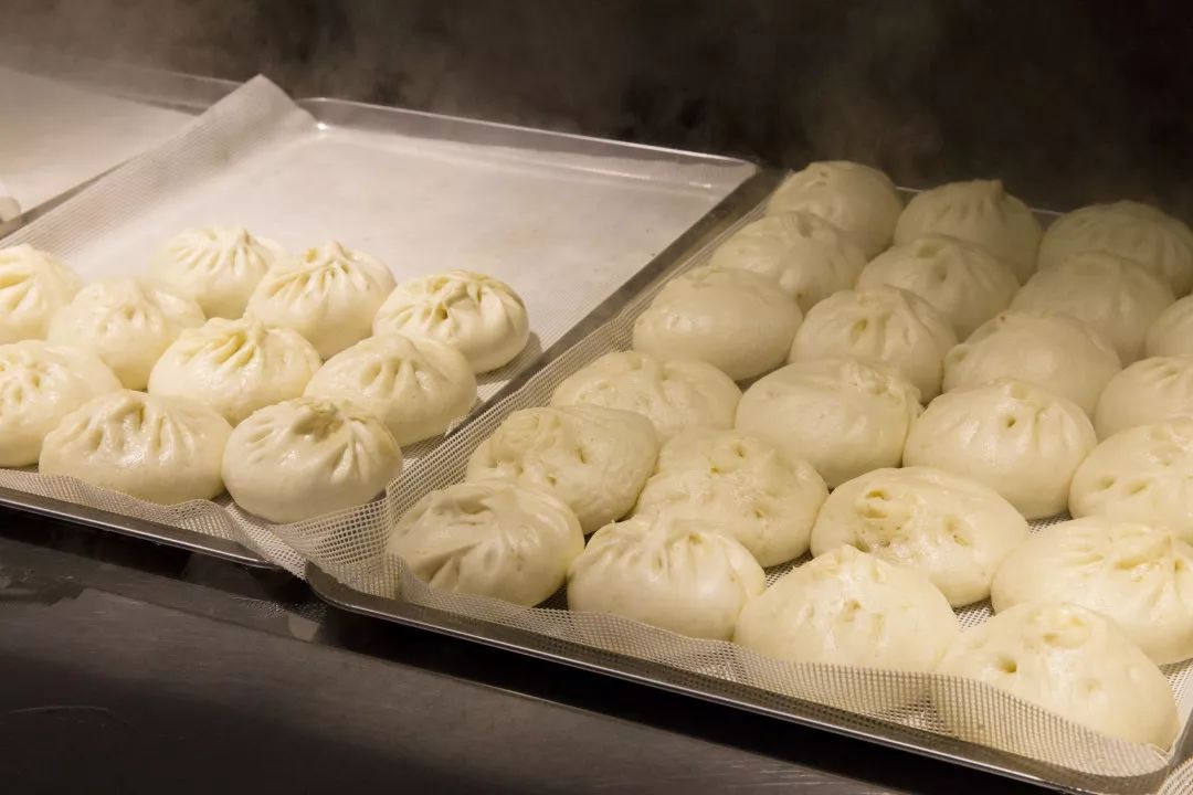 叫醒你的不是梦想是早餐,叫醒你的不是闹钟是鸟叫声