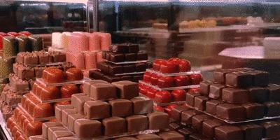 tonychi设计,体验香港瑰丽酒店