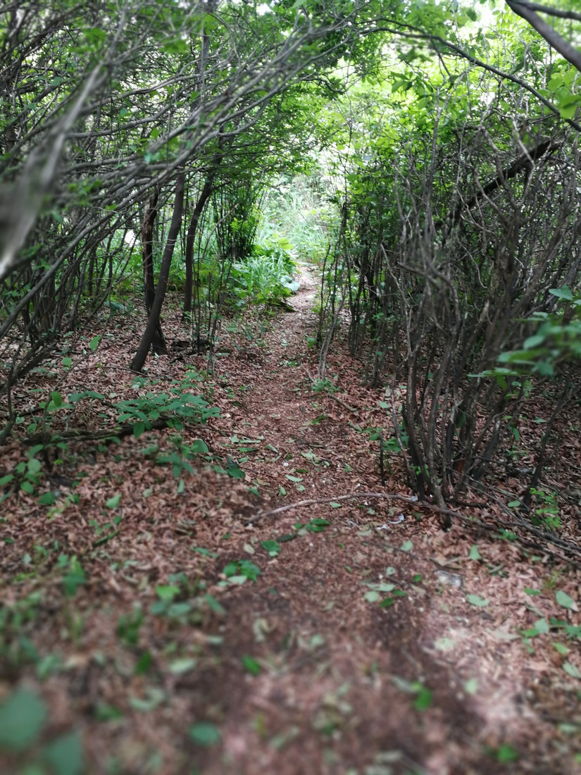 搁船尖登顶难度,搁船尖天目山光明顶