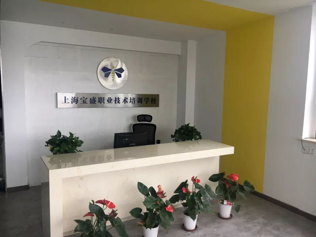 工作技能培训哪家强？宝山这几家*级A**培训机构了解一下！