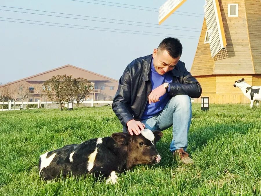 为了身体健康让孩子喝牛奶,让孩子喝上放心的牛奶就那么难吗