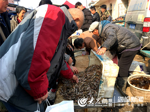 嘎巴虾特产上市,大连嘎巴虾现在多少钱一斤