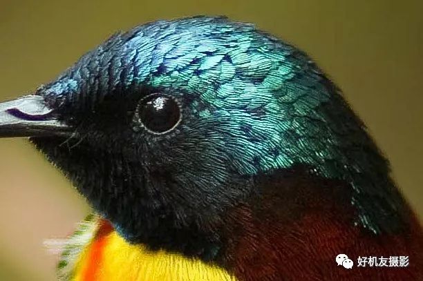 拍出的效果没有实物效果,拍出质感照片