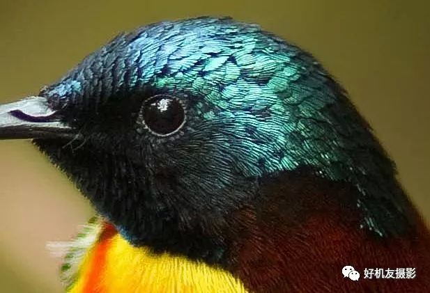 拍出的效果没有实物效果,拍出质感照片