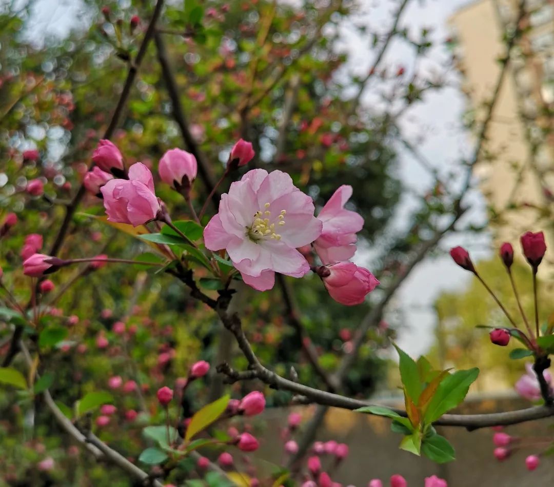 海量美图100张,海量高清美图